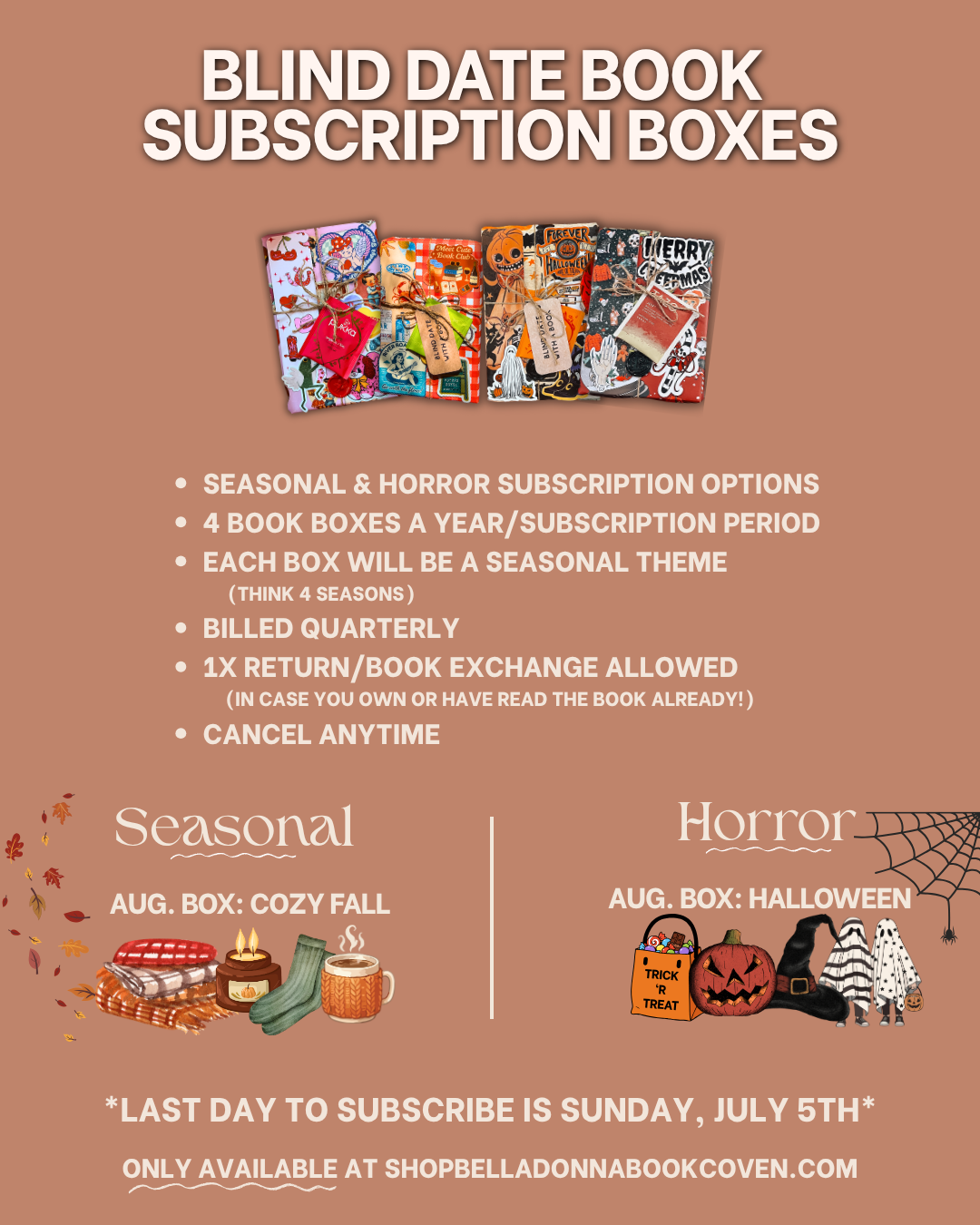 Horror Blind Date Book Subscription