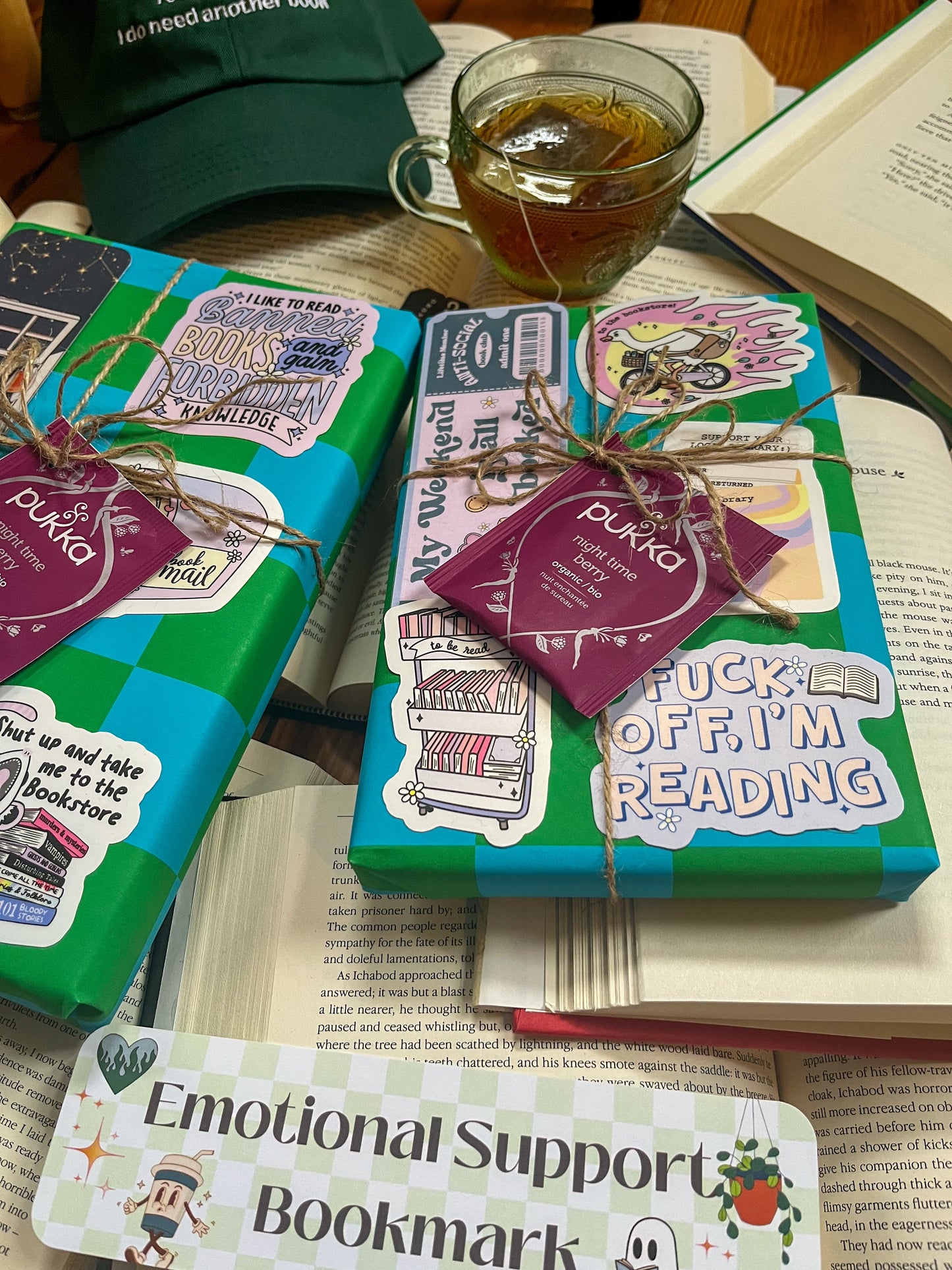 Bookish Blind Date with a Book