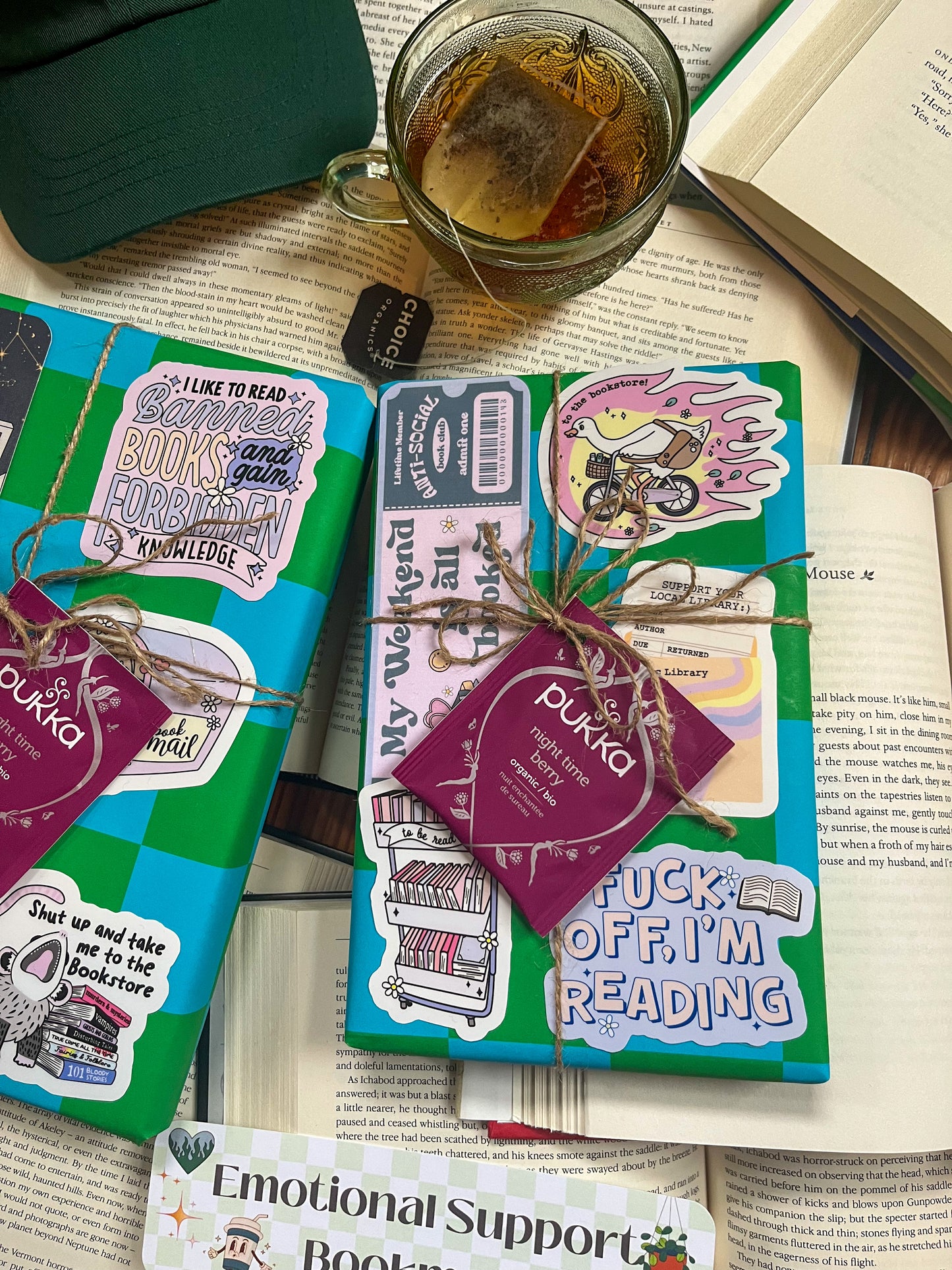 Bookish Blind Date with a Book